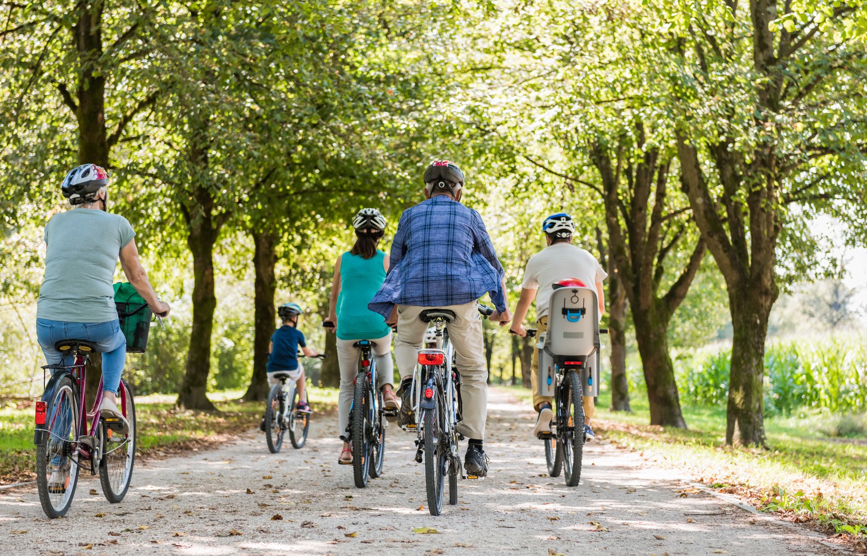 Family Cycling Together Through Park